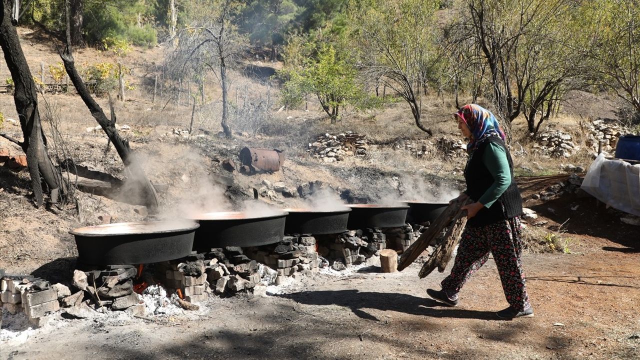 Toroslar'ın Eşsiz Lezzeti: Andız Pekmezi