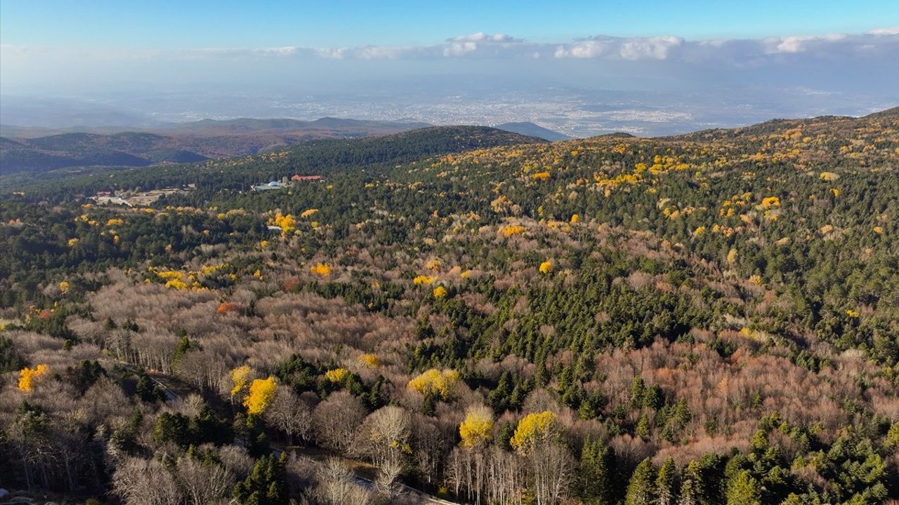 Uludağ'da Sonbaharın Göz Alıcı Renkleri Dron ile Görüntülendi