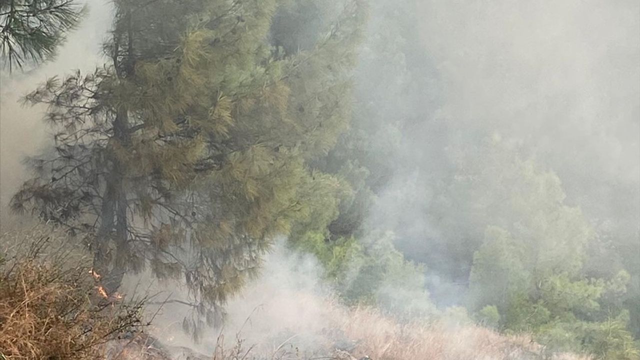 İskenderun'da Orman Yangını Kontrol Altına Alındı